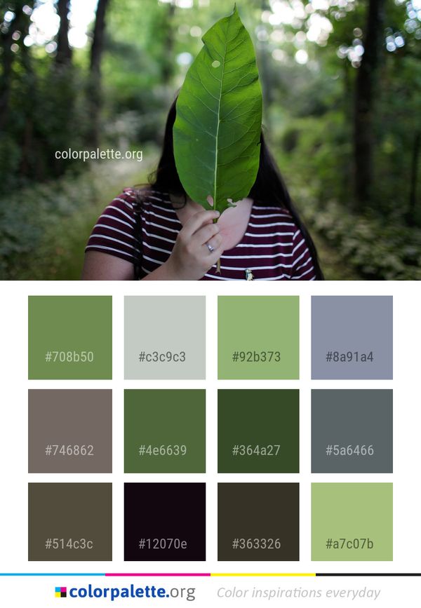 Leaf Plant Tree Color Palette