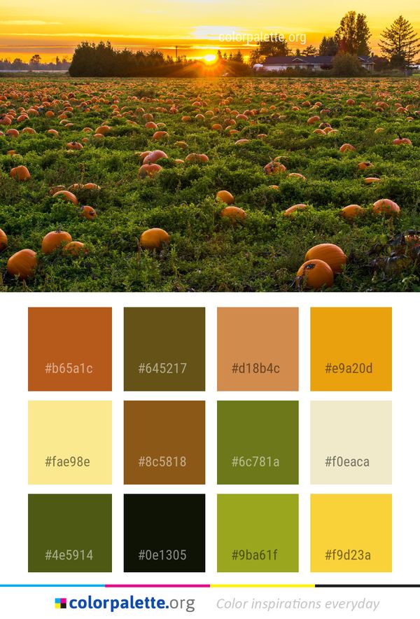 Nature Field Yellow Color Palette