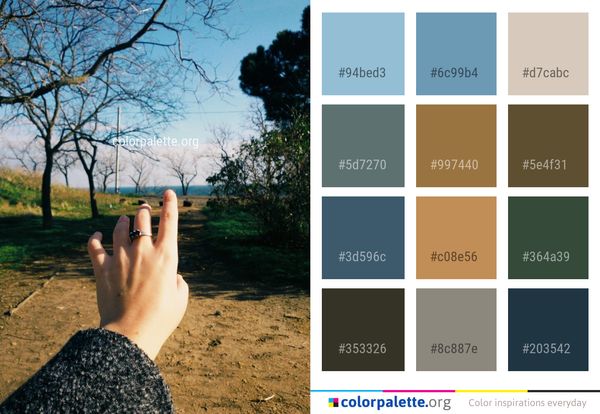 Nature Tree Sky Color Palette