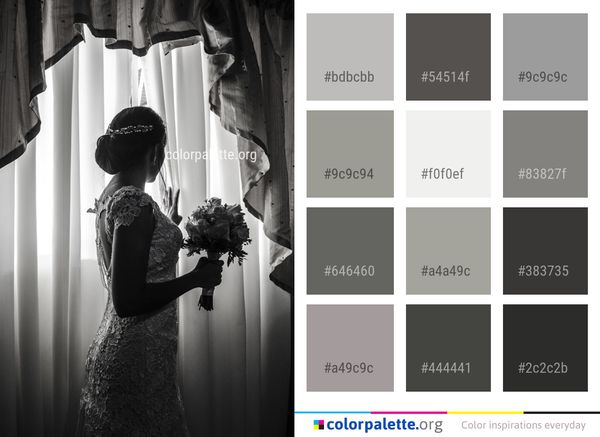 Photograph Black Dress Color Palette