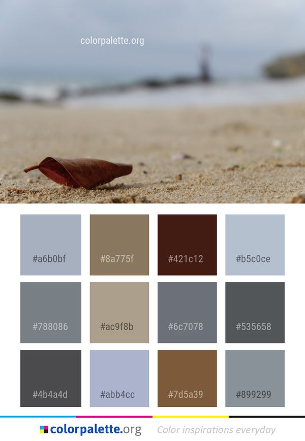 Sea Beach Sand Color Palette