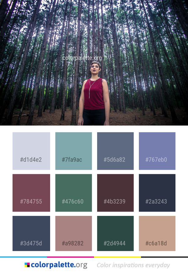 Tree Nature Forest Color Palette