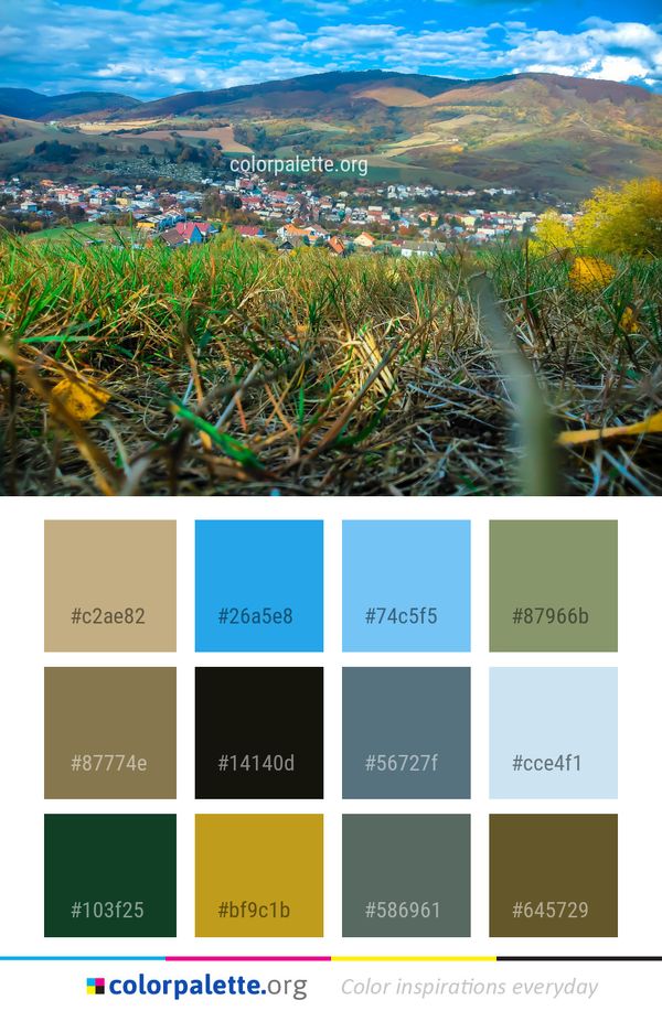 Vegetation Sky Plant Color Palette