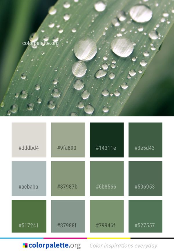 Water Dew Drop Color Palette