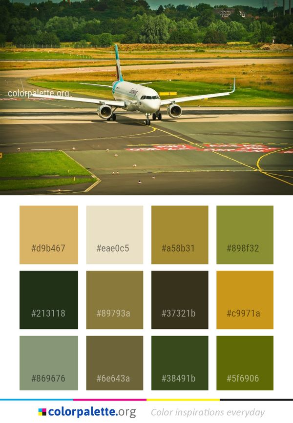 Airline Airplane Aircraft Color Palette