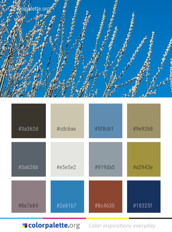 Blue Sky Branch Color Palette
