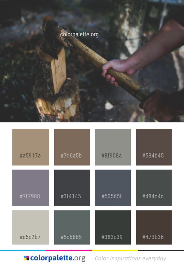 Colorful Color Palette