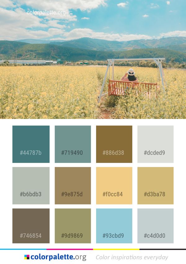 Field Grassland Prairie Color Palette