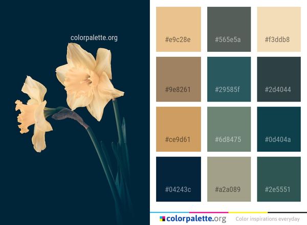 Flower Flowering Plant Color Palette