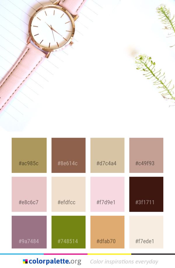 Line Font Circle Color Palette