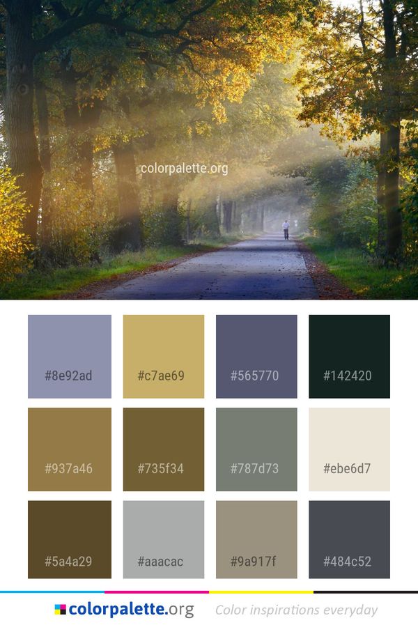 Nature Leaf Woodland Color Palette