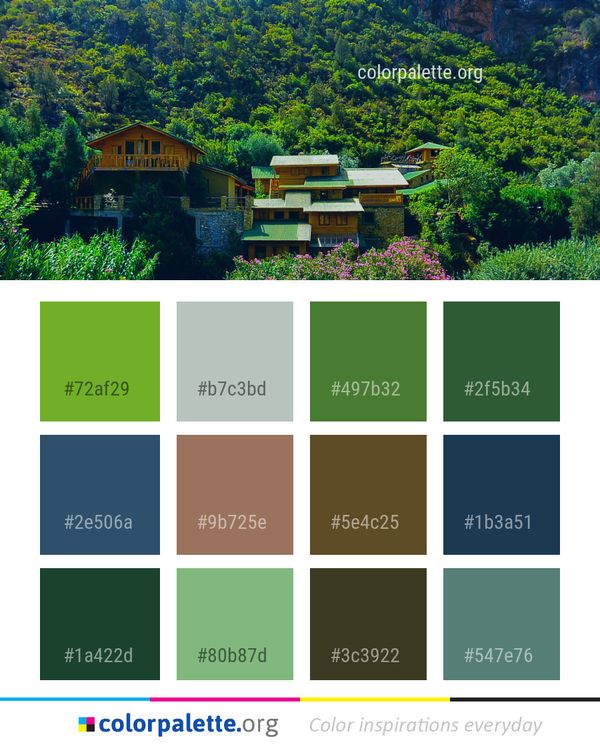 Nature Vegetation Green Color Palette