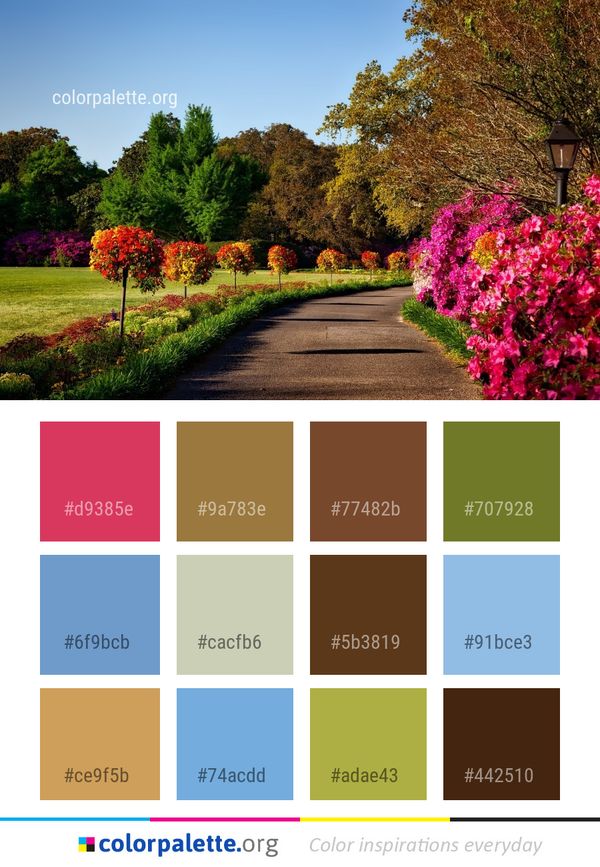 Plant Flower Nature Color Palette