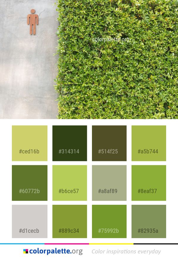Plant Vegetation Grass Color Palette