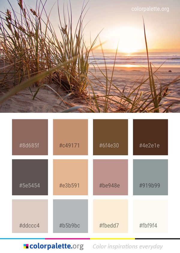 Sea Sky Shore Color Palette