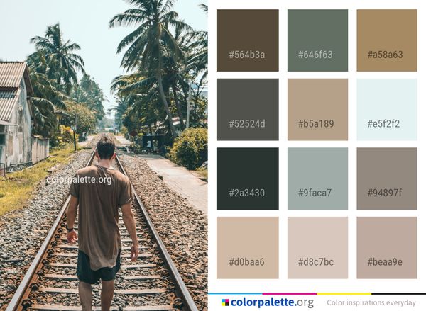Track Transport Tree Color Palette