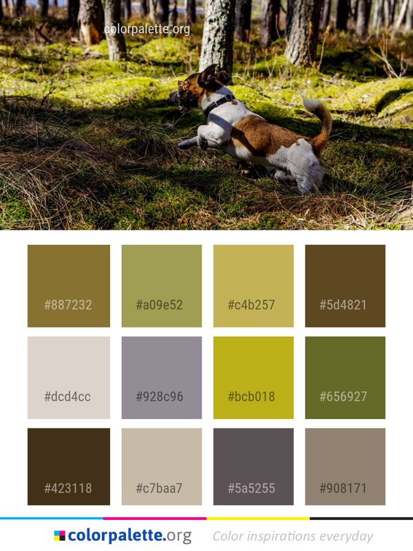 Tree Fauna Plant Color Palette
