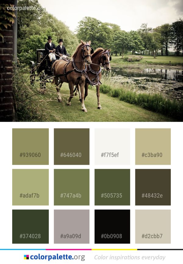 Tree Horse Harness Color Palette