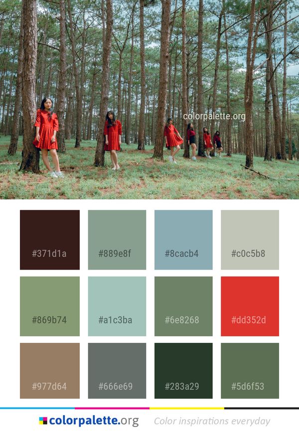 Tree Nature Ecosystem Color Palette