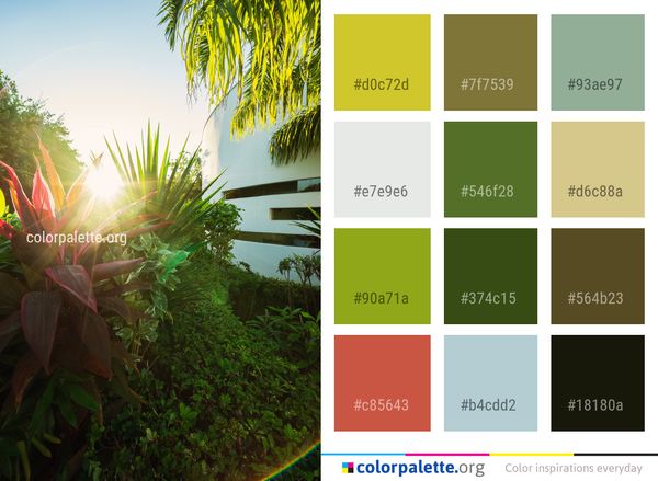Vegetation Plant Leaf Color Palette
