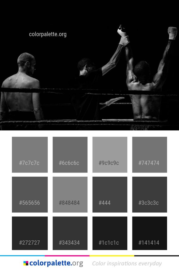 White Black Photograph Color Palette