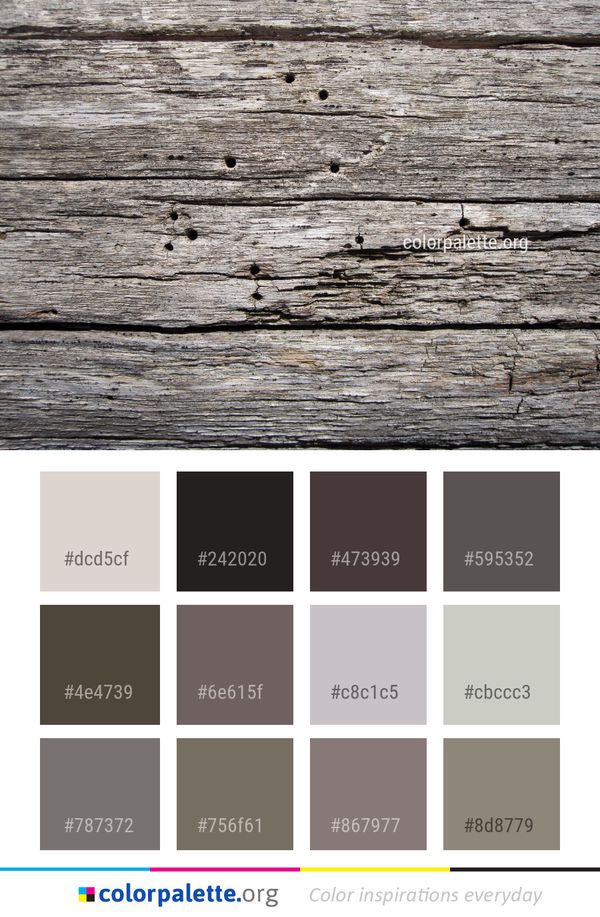 Wood Trunk Plank Color Palette