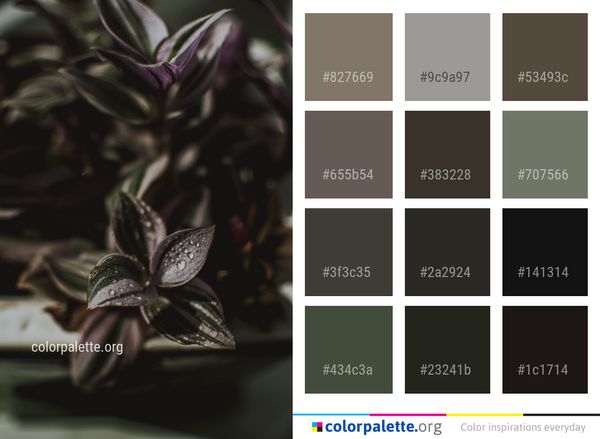 Flora Plant Purple Color Palette