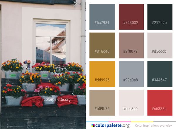 Flower Floristry Plant Color Palette