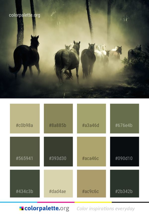 Nature Horse Like Mammal Color Palette