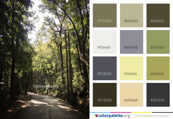 Nature Path Tree Color Palette