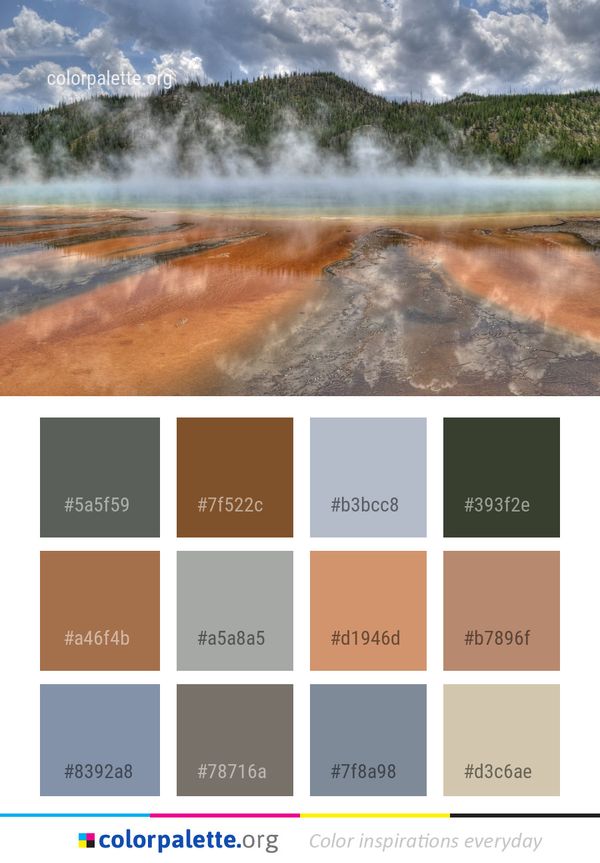 Nature Water Reflection Color Palette