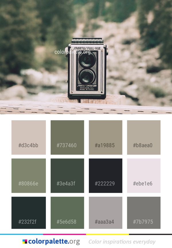 Photography Camera Lens Color Palette