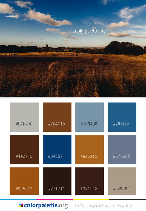 Sky Cloud Field Color Palette