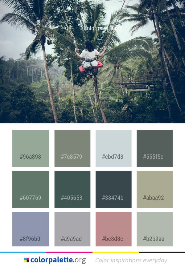 Tree Nature Woody Plant Color Palette