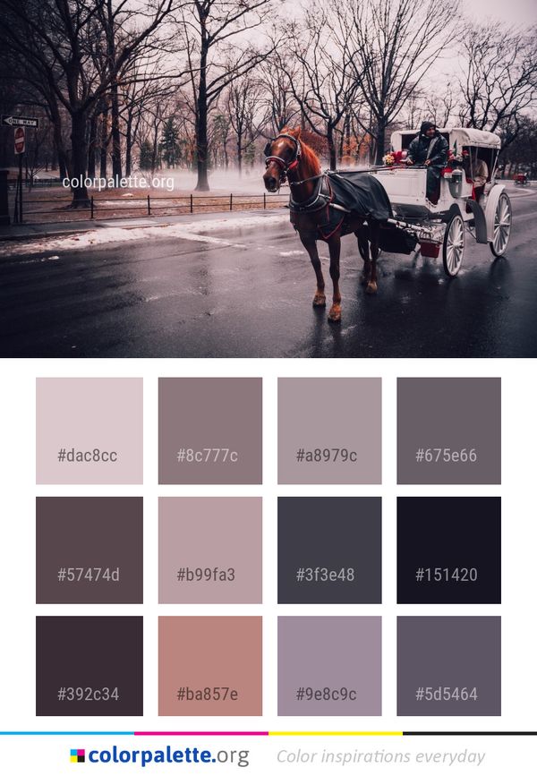 Tree Vertebrate Woody Plant Color Palette