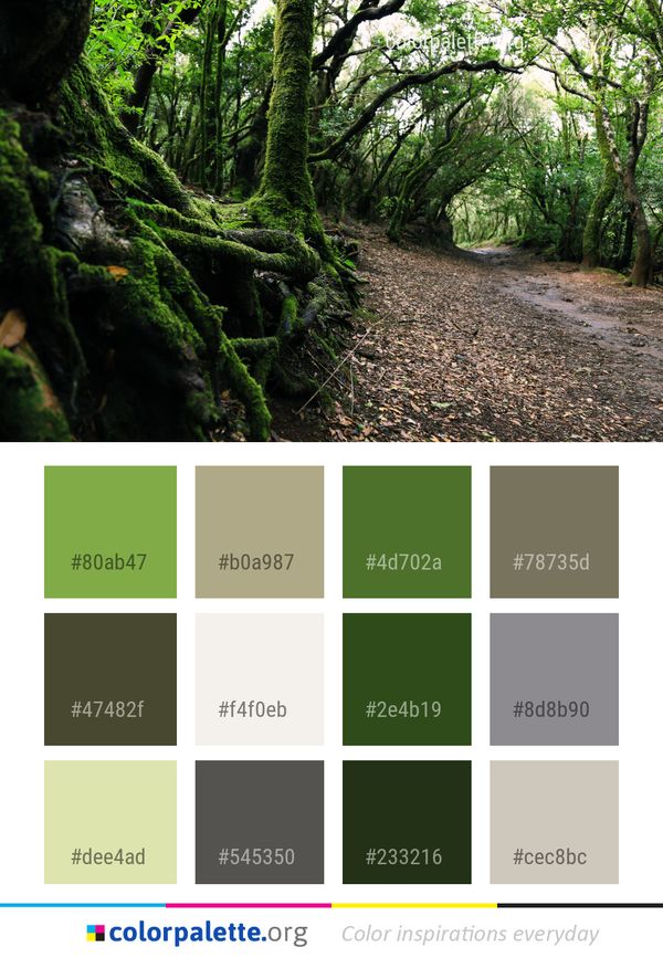 Vegetation Woodland Nature Color Palette