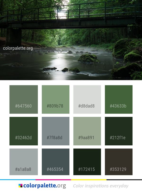 Water Nature Green Color Palette