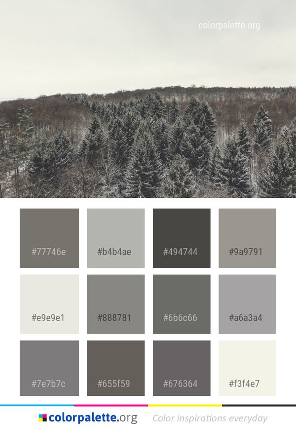 Winter Snow Tree Color Palette