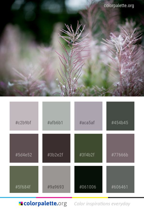 Flora Plant Vegetation Color Palette
