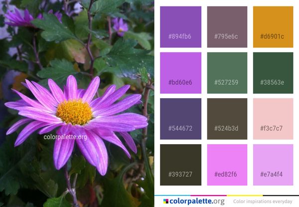 Flower Plant Purple Color Palette