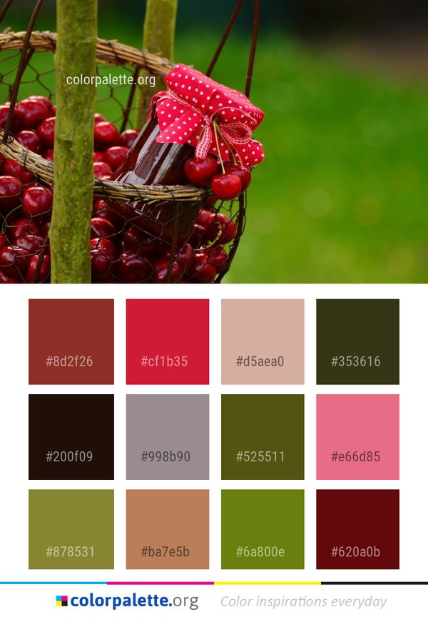Fruit Berry Cherry Color Palette