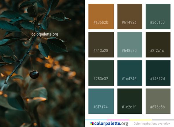 Leaf Branch Close Up Color Palette