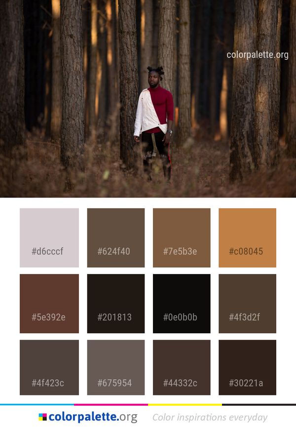Nature Tree Woody Plant Color Palette