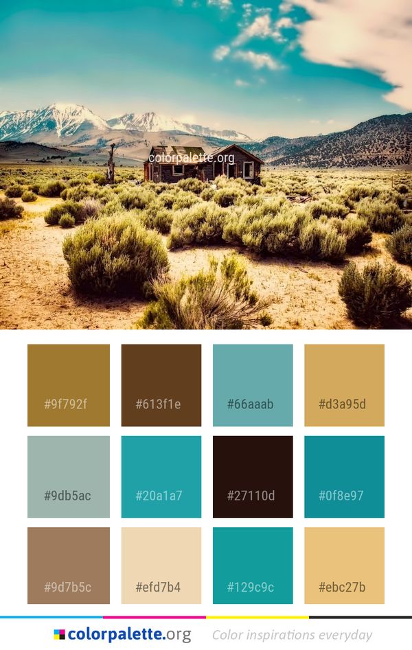 Sky Cloud Ecosystem Color Palette