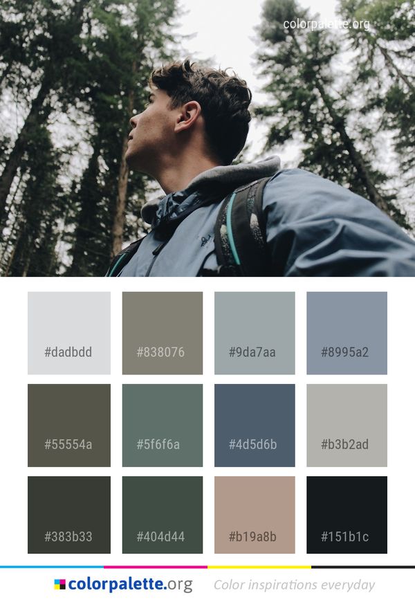 Tree Nature Woody Plant Color Palette