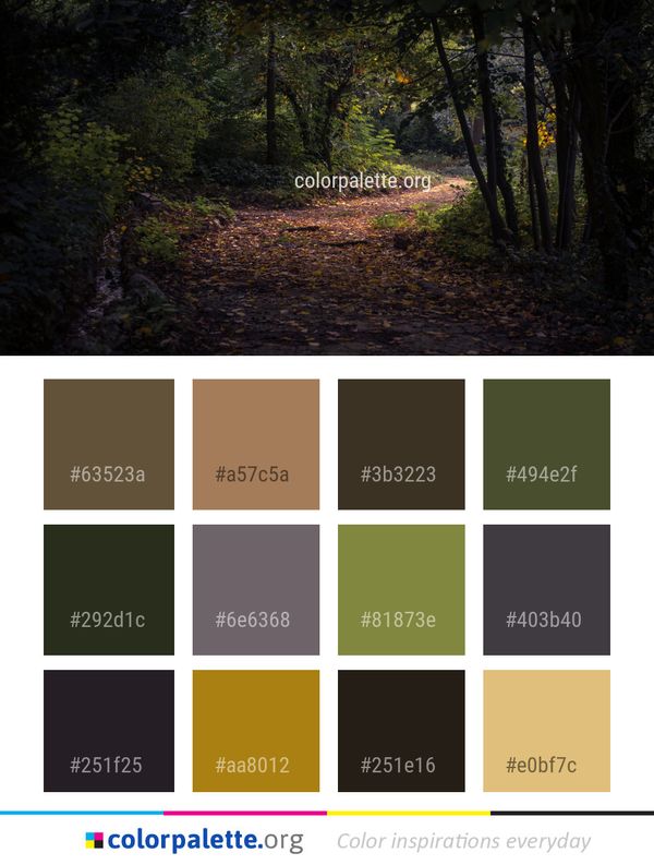 Woodland Path Nature Color Palette