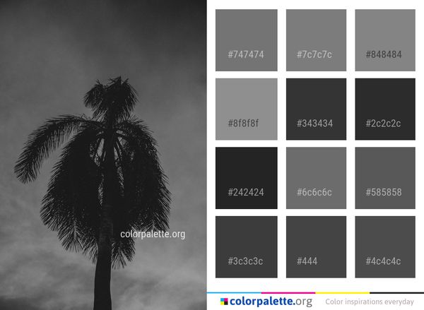 Black And White Sky Color Palette