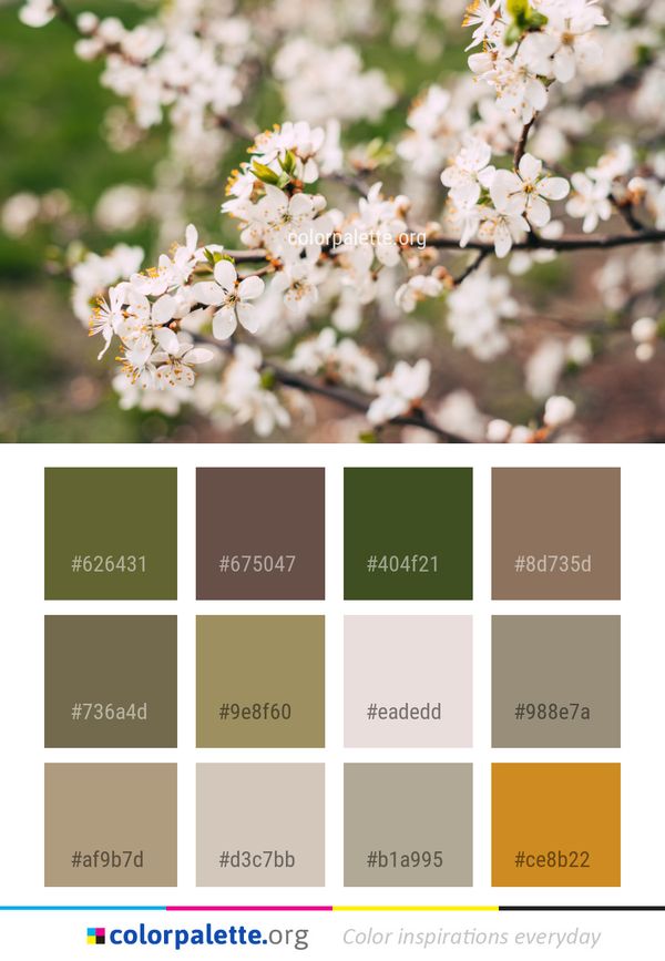 Blossom Flower Spring Color Palette