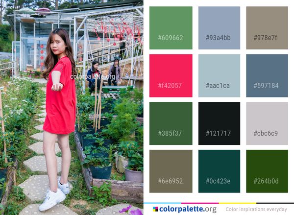Clothing Red Pink Color Palette