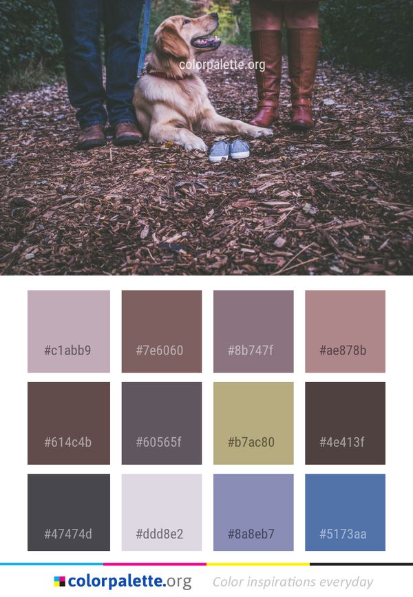 Dog Like Mammal Color Palette